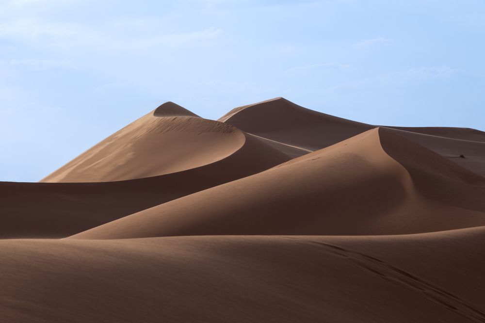 A day among the dunes (9)