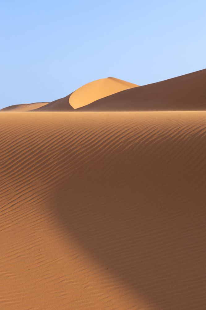A day among the dunes (10)