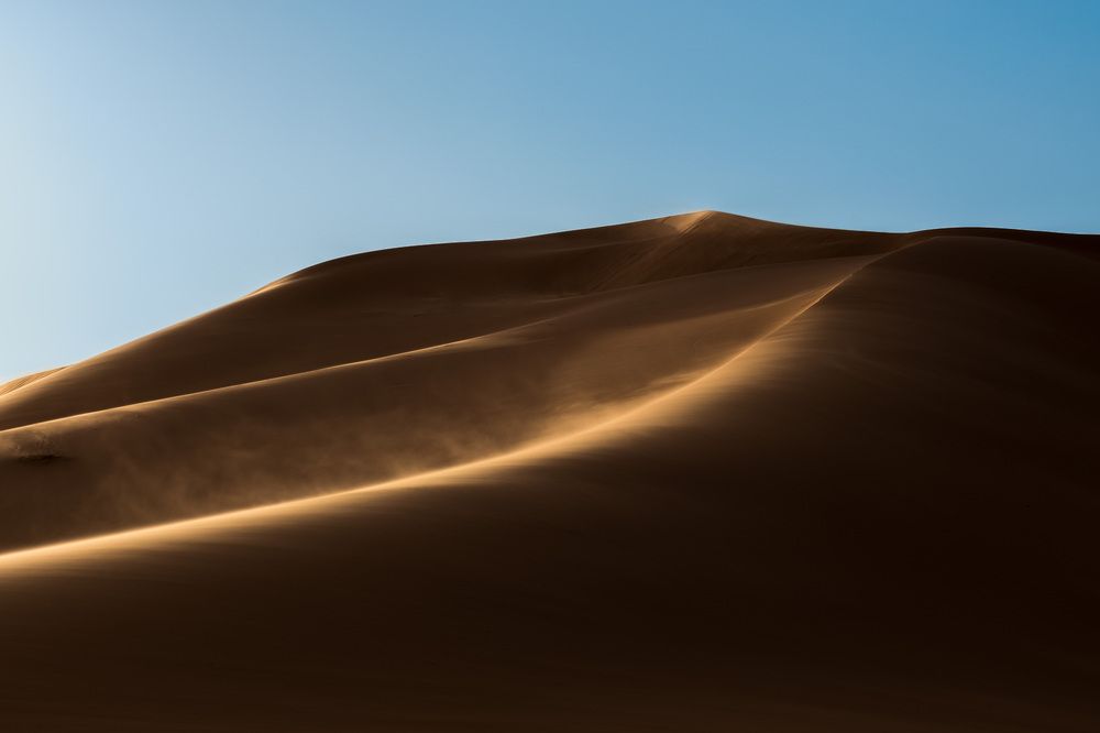 Deserts of Riyadh (3)