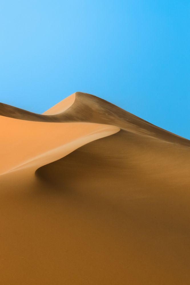 Deserts of Riyadh (4)