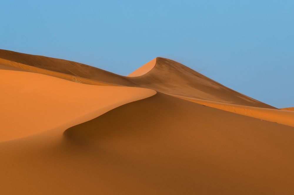 Deserts of Riyadh (5)