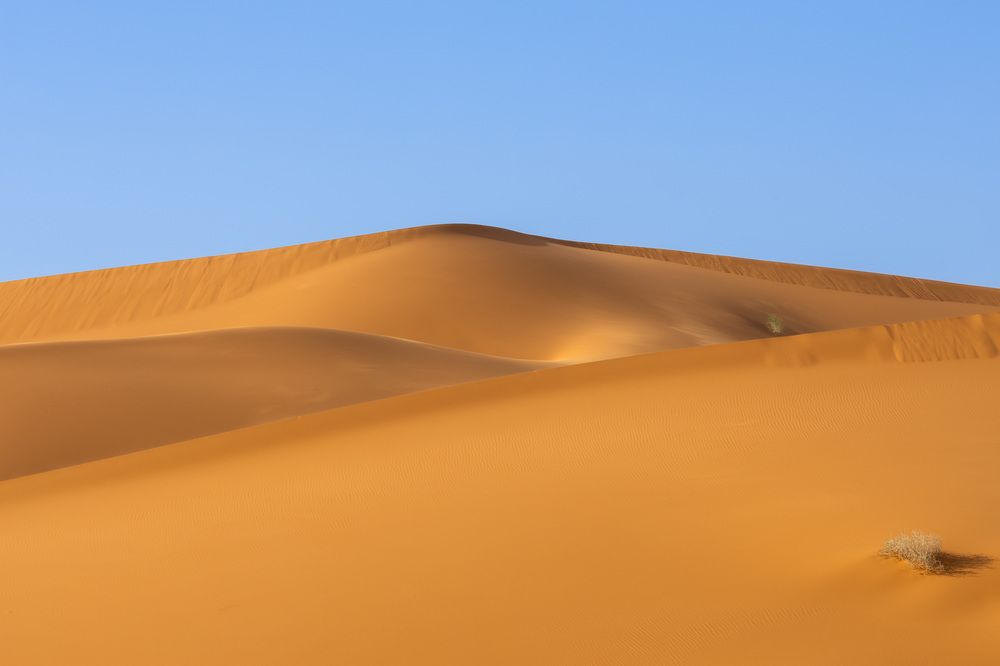 Deserts of Riyadh (7)