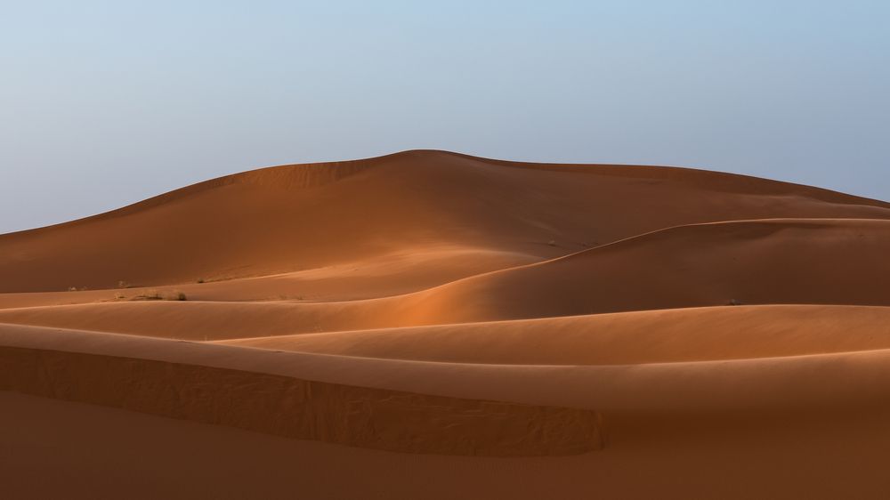 Deserts of Riyadh (8)