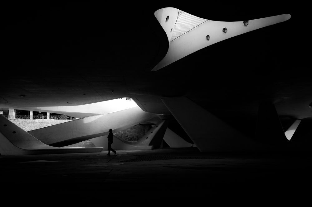 Curves (2)