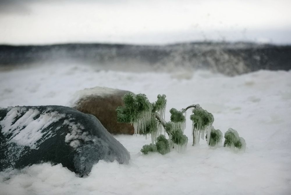 Photo #11742100 (4)