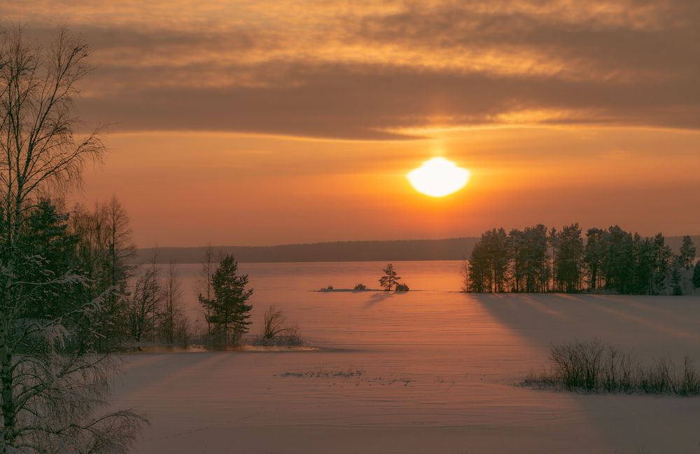 Photo #11742143 (4)
