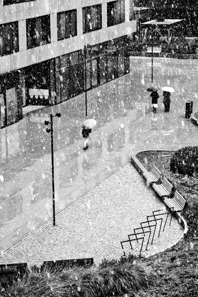 Black & white Belgrade (3)