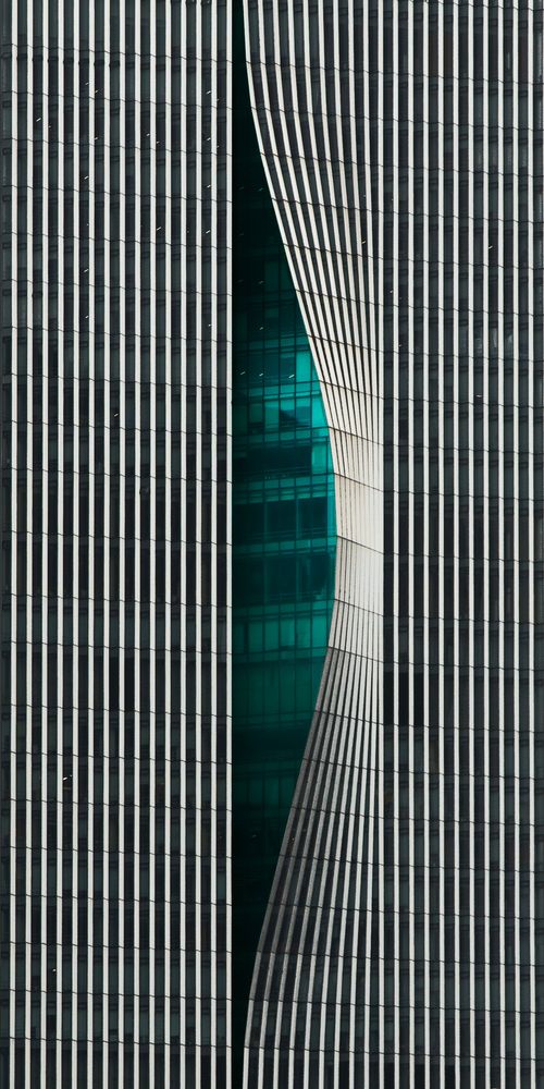 Shenzhen Contrast (4)
