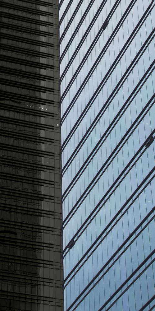 Shenzhen Contrast (6)