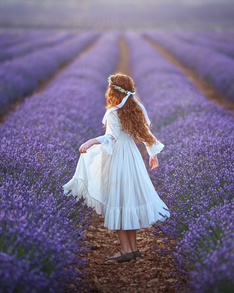 Lavender fields (5)