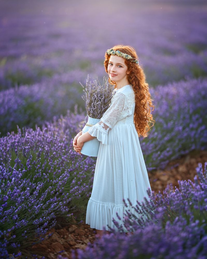 Lavender fields (3)