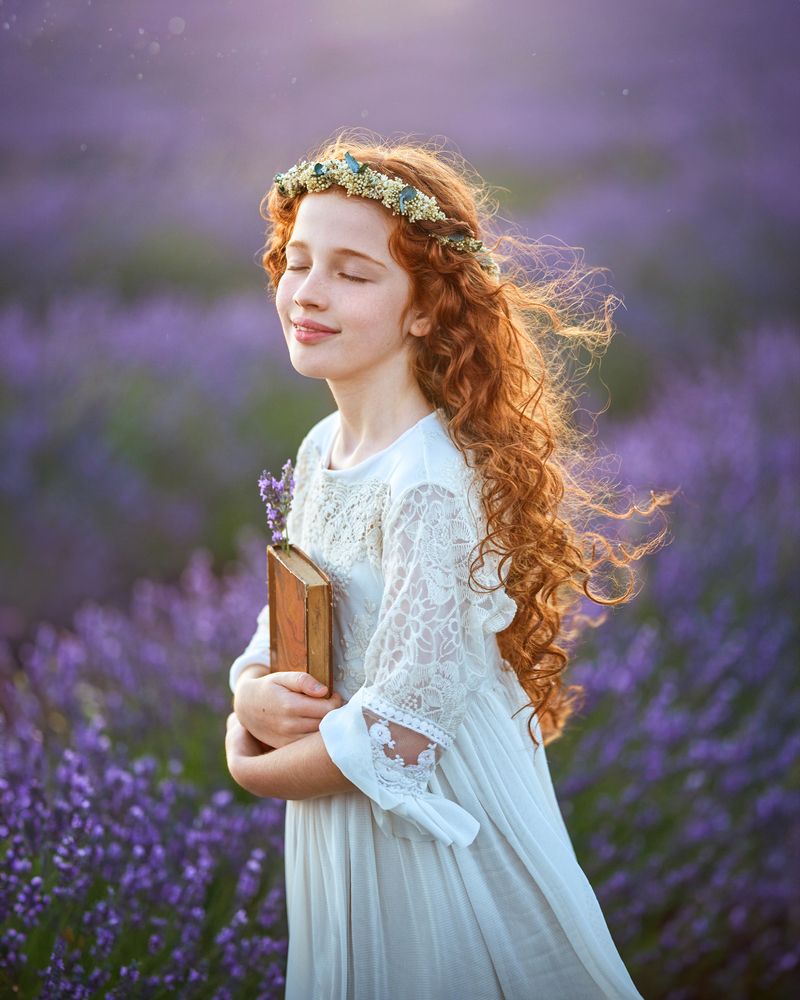 Lavender fields (4)