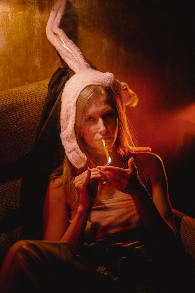Bad bunny (5)
