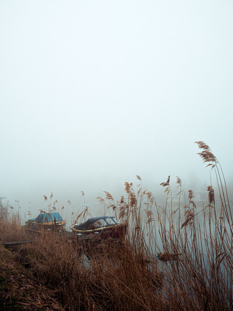 Foggy Amstel river. Heron (3)