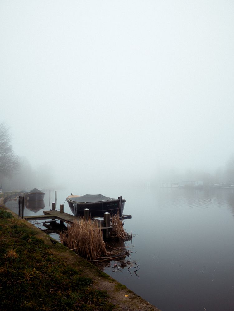 Foggy Amstel river. Heron (4)
