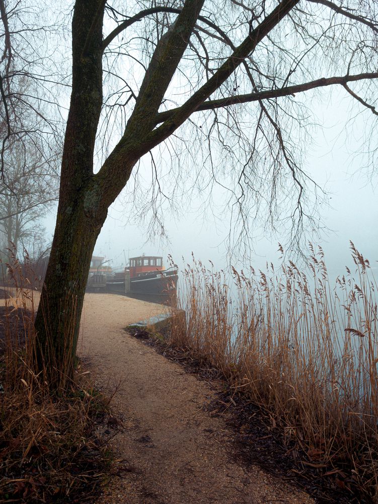 Foggy Amstel river. Heron (8)