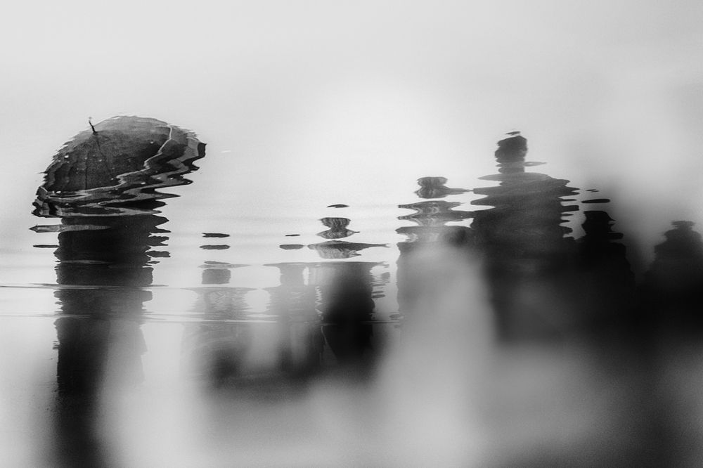 All the Fading Words (5)