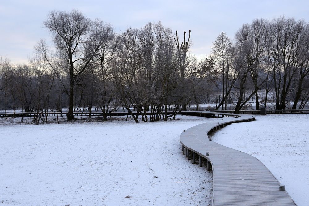 Утрення прогулка (10)
