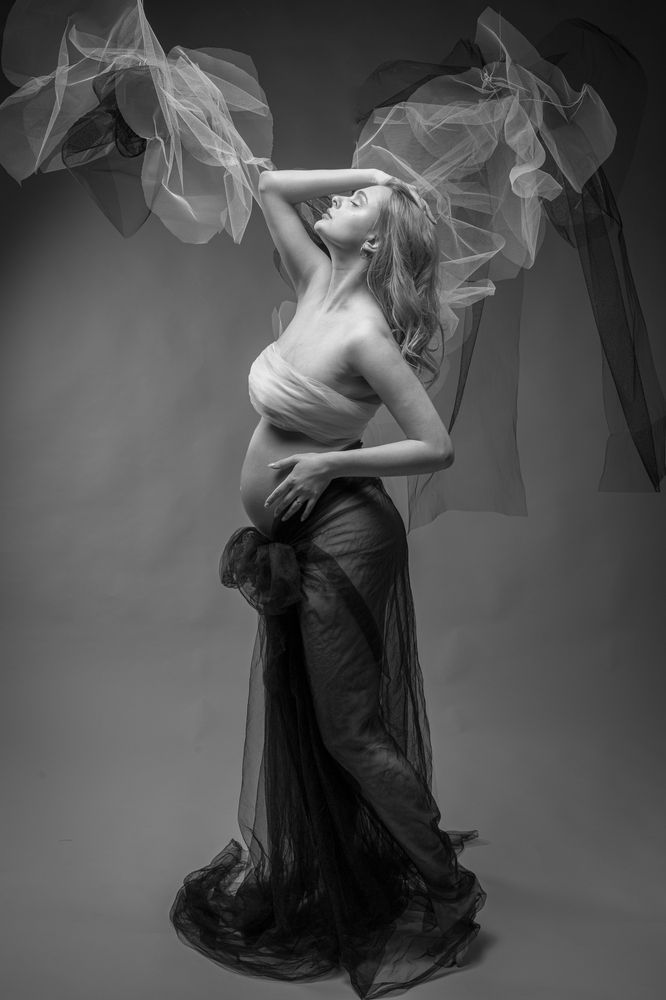 Photo #11931609 (8)