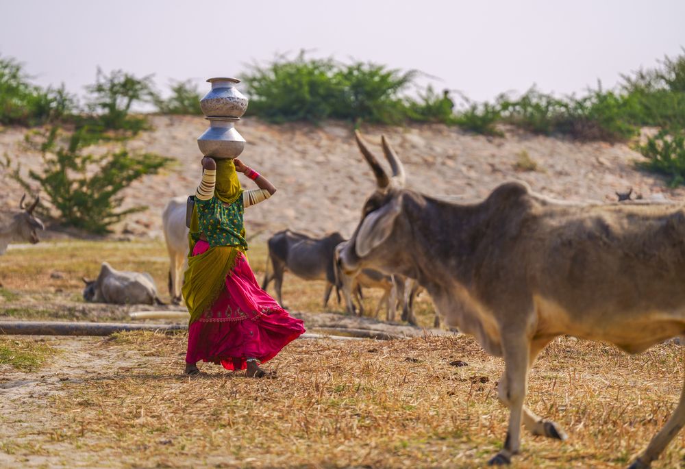 The Silent Struggle: Water Scarcity in Nagarparkar (2)