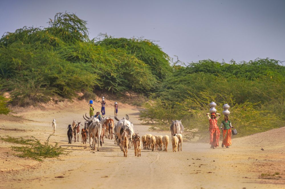 The Silent Struggle: Water Scarcity in Nagarparkar (6)