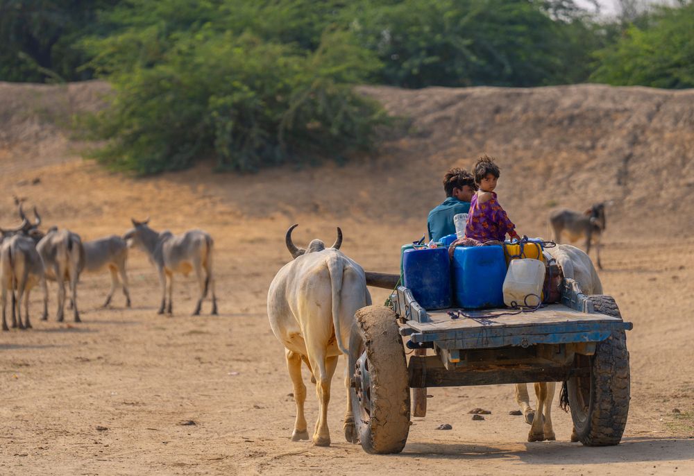 The Silent Struggle: Water Scarcity in Nagarparkar (5)