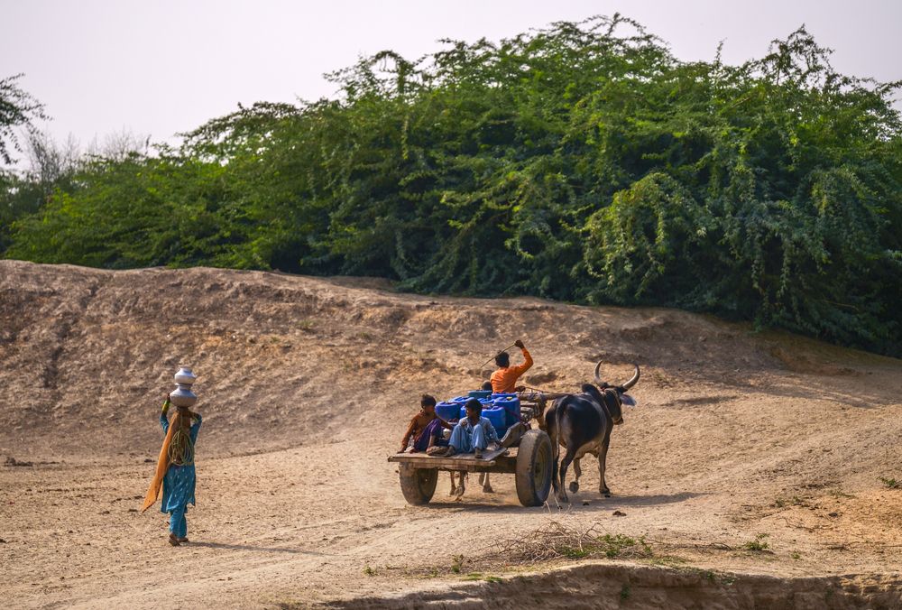 The Silent Struggle: Water Scarcity in Nagarparkar (4)