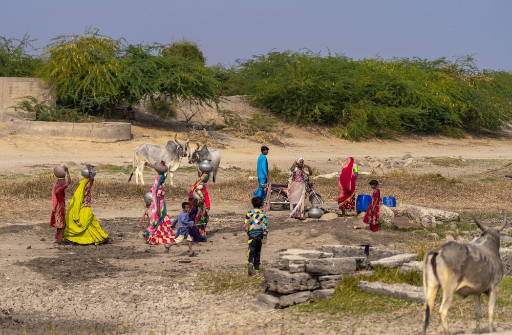 The Silent Struggle: Water Scarcity in Nagarparkar (10)