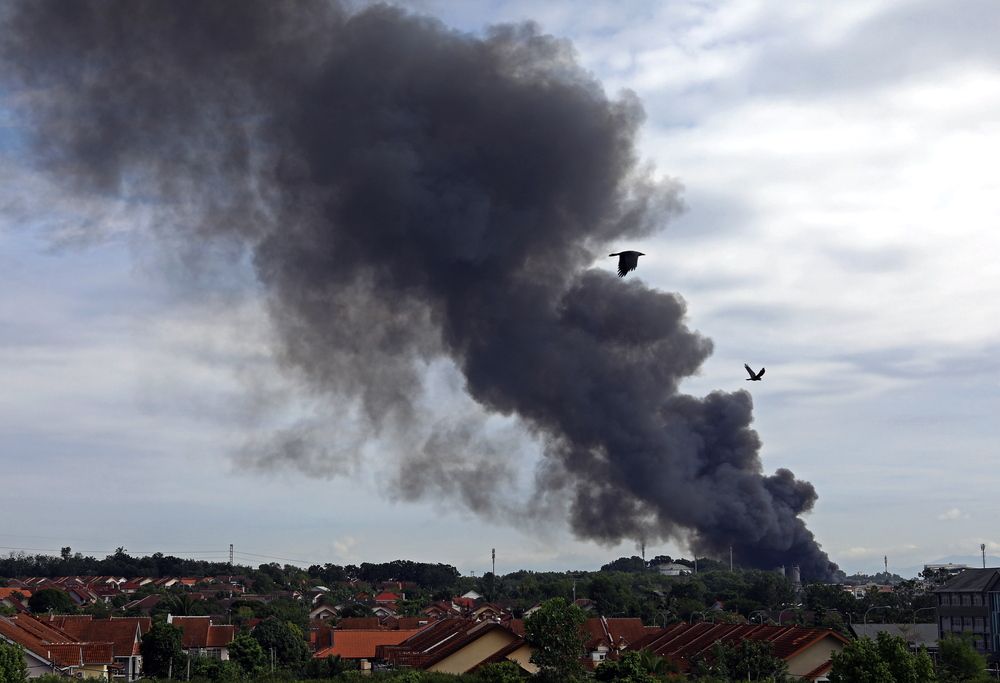 Firefighter (5)