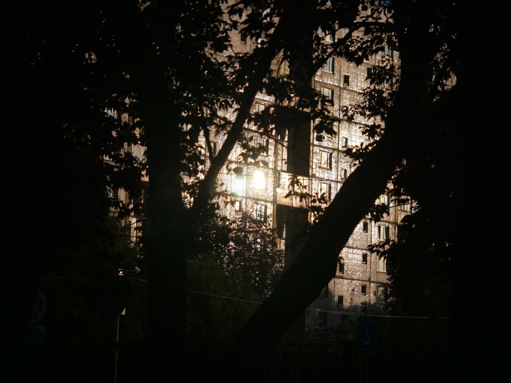 Photo #11966160 (4)
