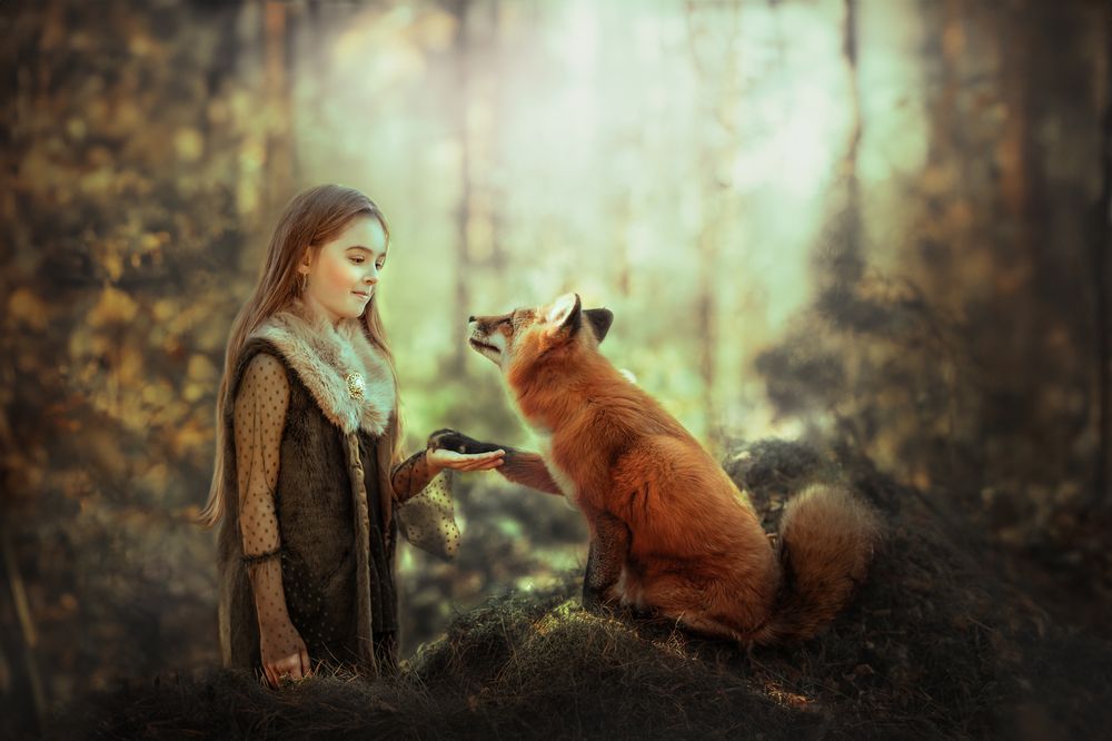 Dreaming in the forest (3)