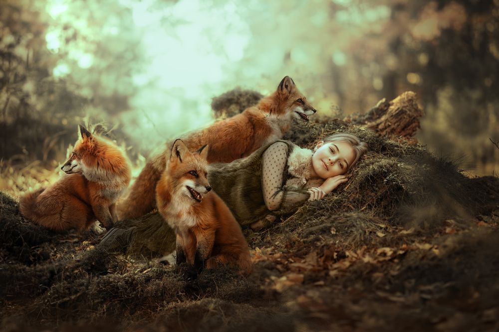 Dreaming in the forest (4)