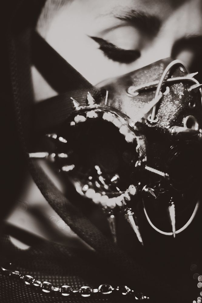 Photo #11980971 (3)