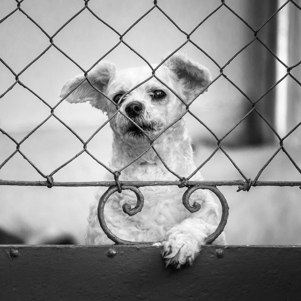 По ту сторону (3)
