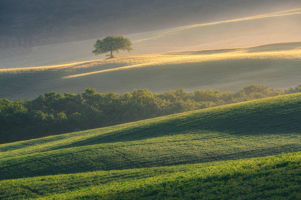 Intimate landscapes of Tuscany (5)