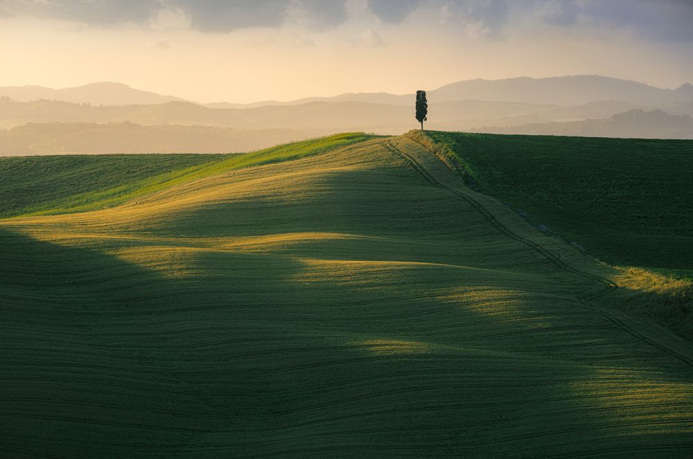 Intimate landscapes of Tuscany (6)