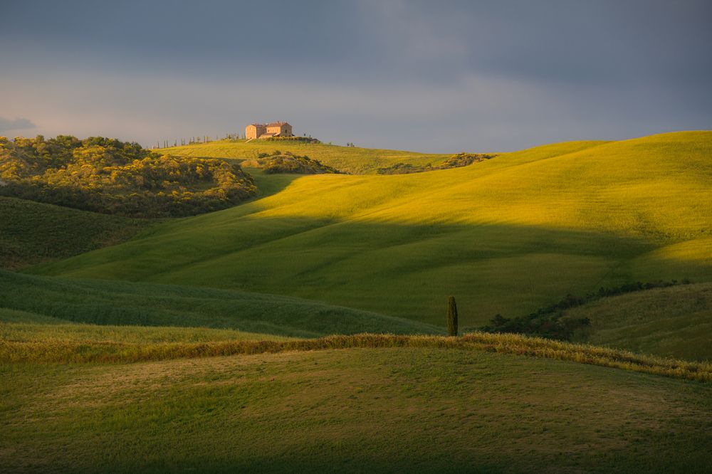 Intimate landscapes of Tuscany (7)