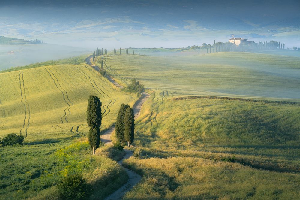 Intimate landscapes of Tuscany (8)