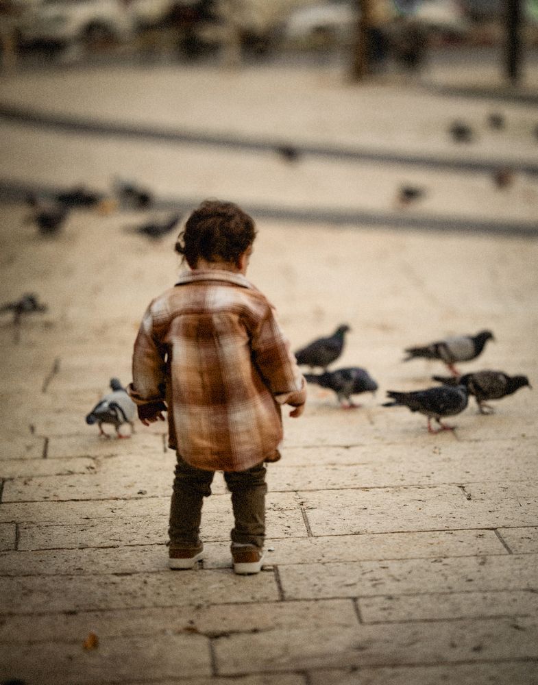 Pigeon Square (11)