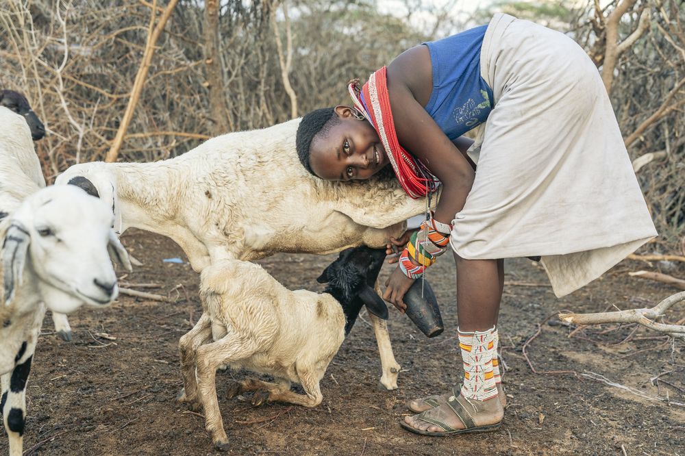 Portraits of the Samburu Tribe (6)
