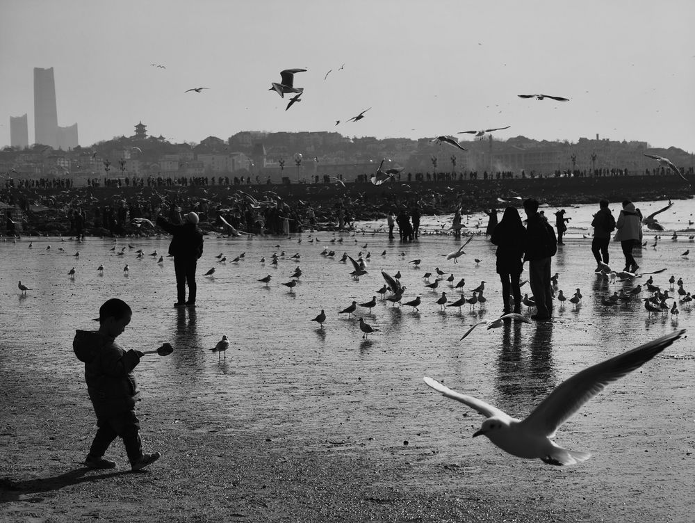 see the sea for the first time (4)