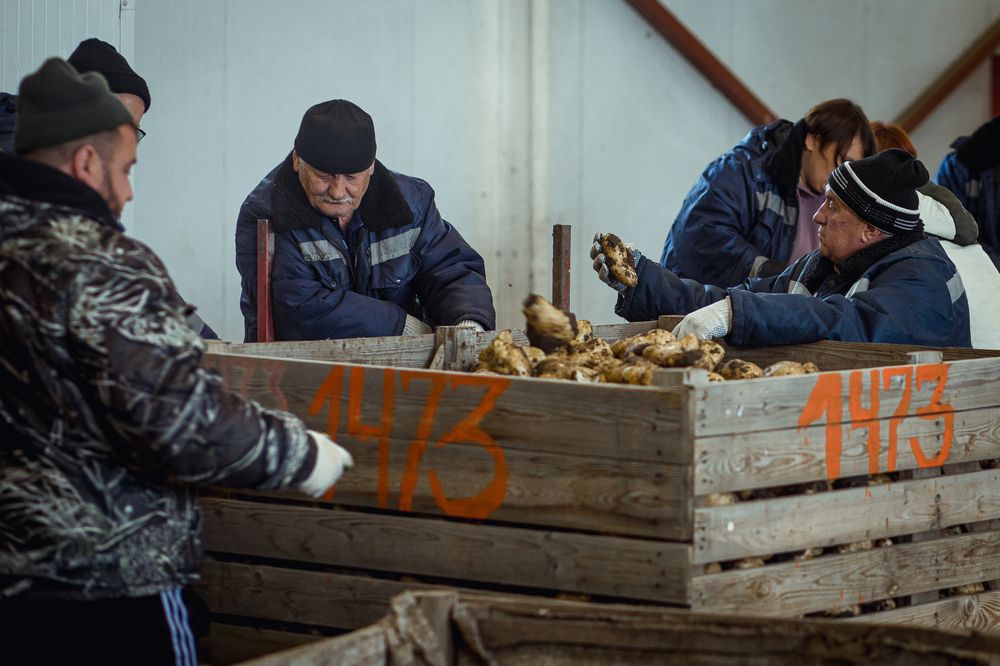 Рабочие люди (4)