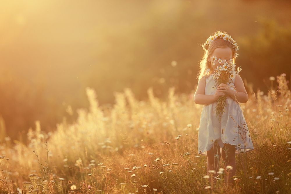 Photo #12033930 (2)