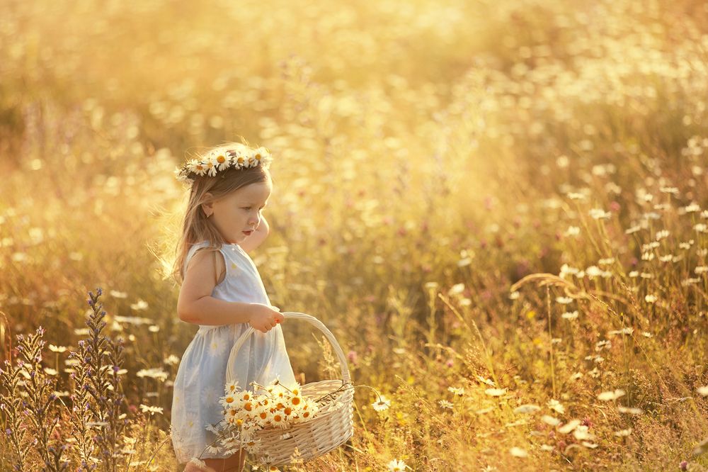 Photo #12033930 (4)