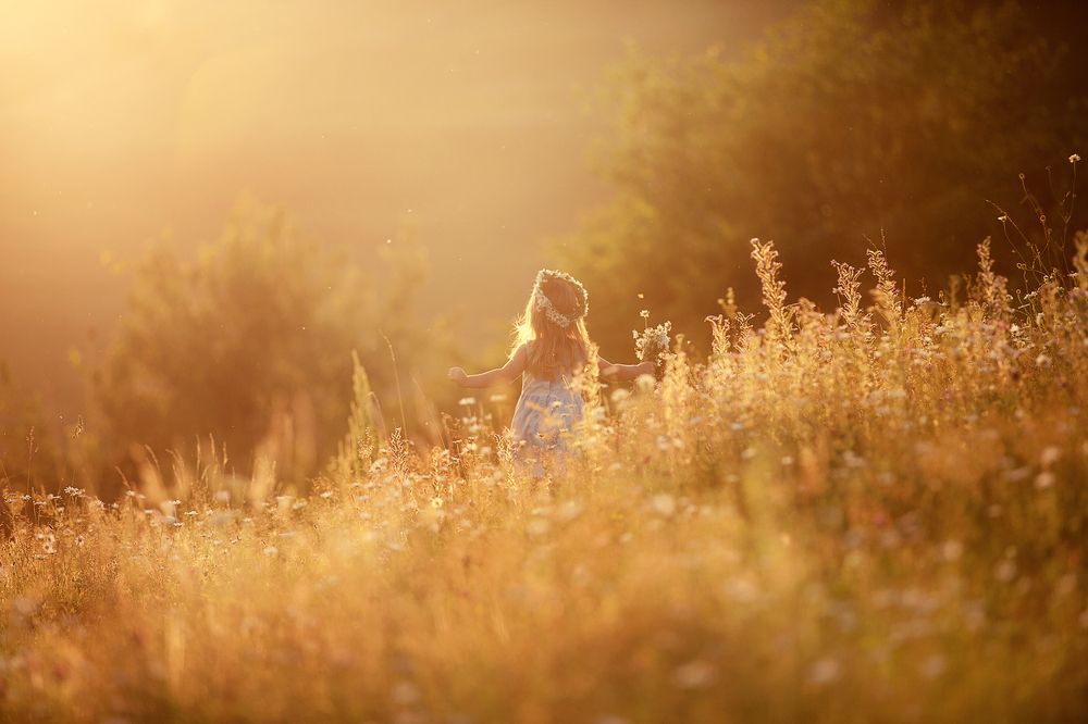 Photo #12033930 (5)