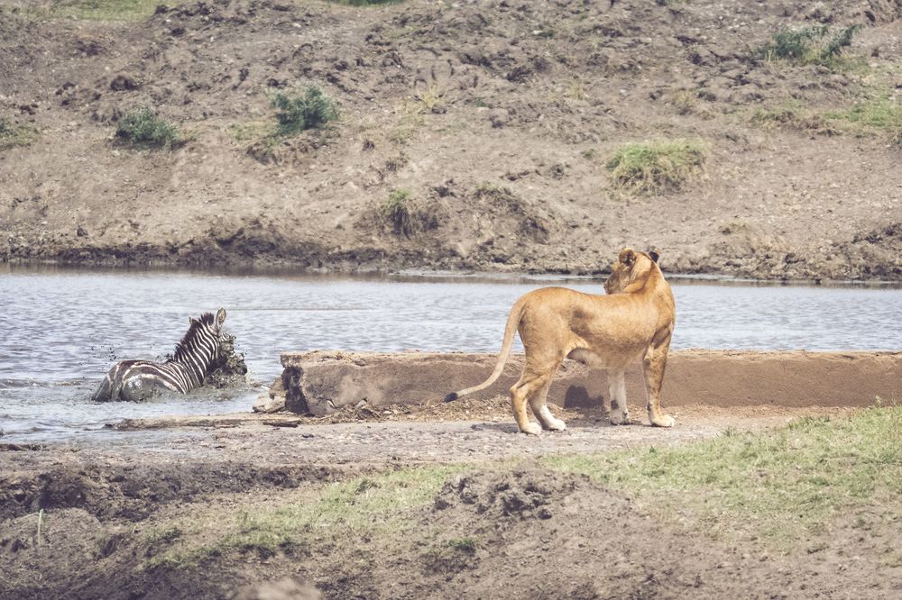 Family lunch time (10)