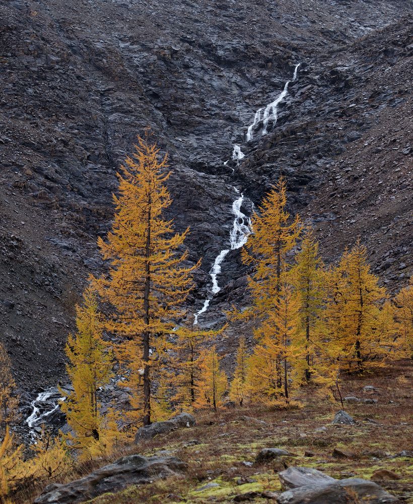 "Золотая" осень на берегах р. Собь, Полярный Урал. (10)