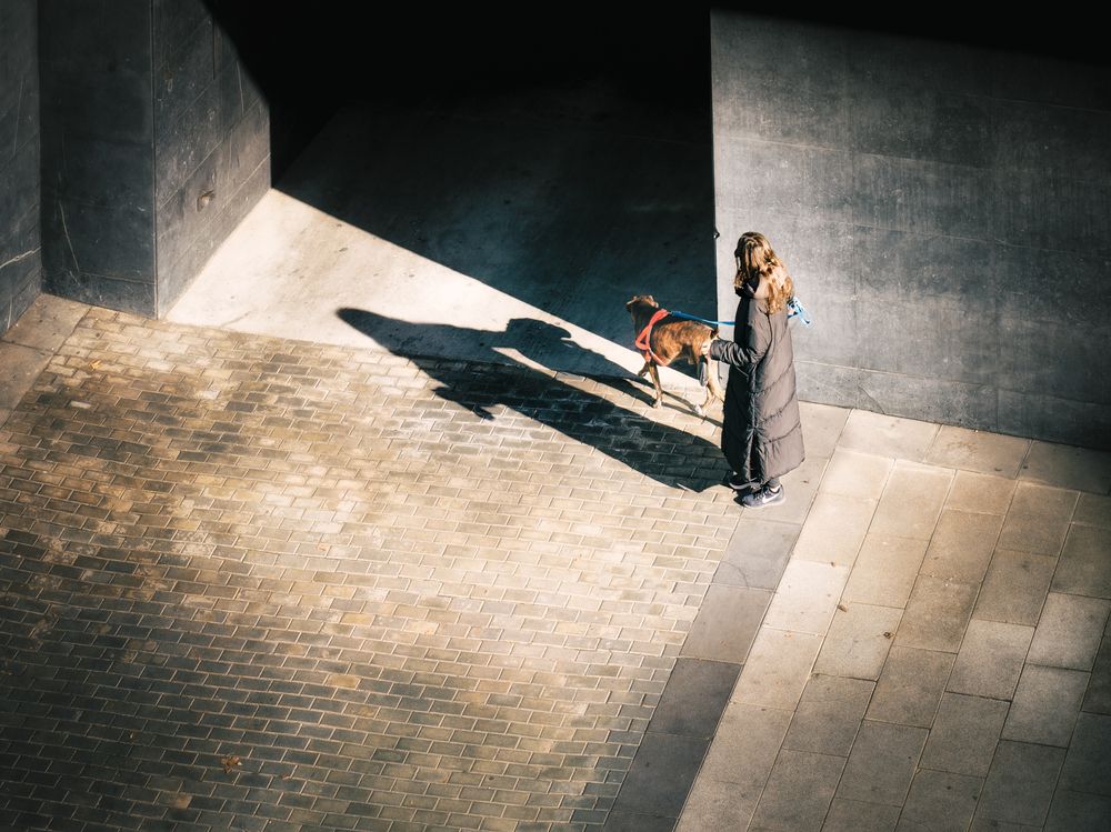 Talking Shadows (8)