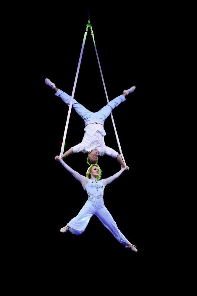 Life is a Circus (2)