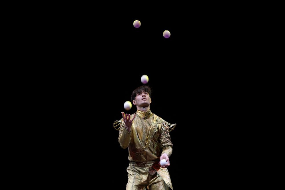 Life is a Circus (6)